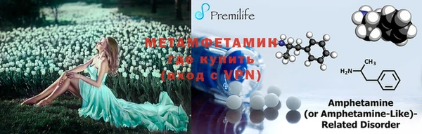 дмт Абаза